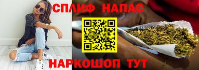 прущие грибы Обнинск