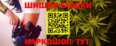 прущие грибы Обнинск