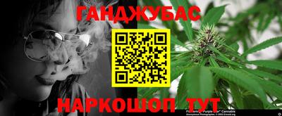 прущие грибы Обнинск