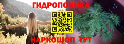 винт Обь